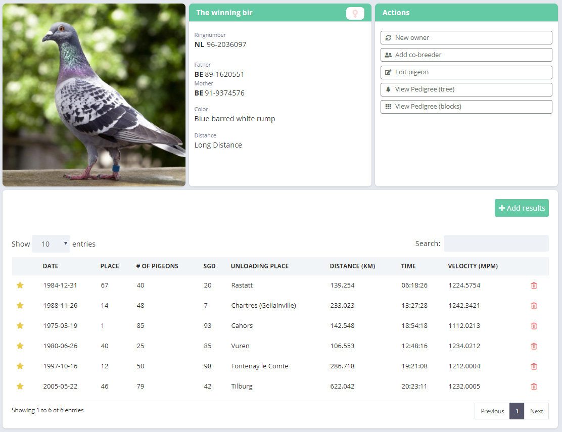 Create a custom profile for all your top pigeons - Pigero